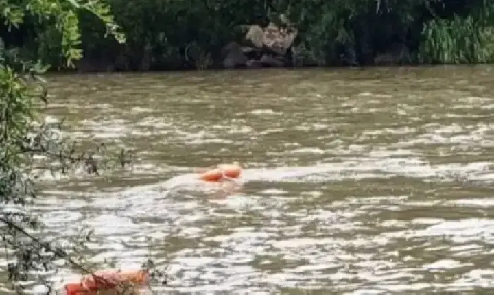 Polícia - Pescador desaparece em rio após tentar recuperar chinelo e chapéu em RO