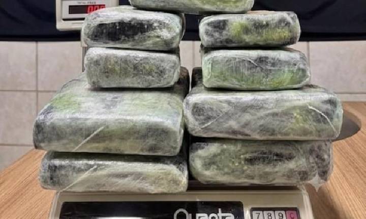 Polícia - PF prende mulher com 13 kg de skunk no aeroporto de Porto Velho