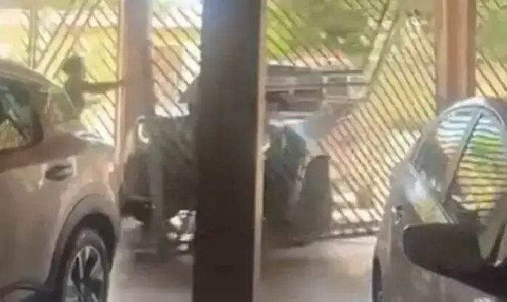 Polícia- Vídeo mostra acadêmica atropelando idoso que morreu em Porto Velho