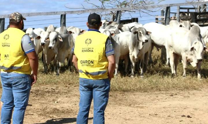 Política - Governo retira R$ 11,8 milhões do Fundo de Defesa Sanitária Animal, não devolve recursos e preocupa setor produtivo
