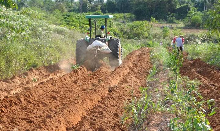 RECONHECIMENTO - Dia do Agricultor celebra quem transforma a terra em alimento e fortalece o desenvolvimento de Porto Velho