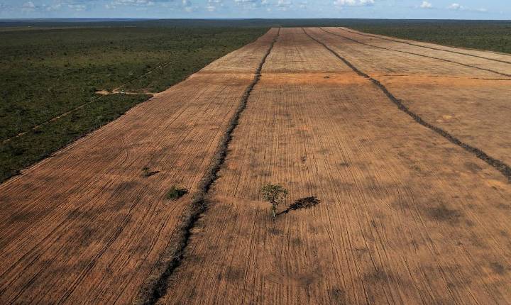 Reportagens - “É falso que melhorar a gestão ambiental prejudica a agropecuária”, diz pesquisador da USP