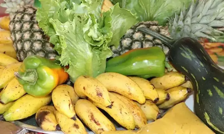 Rolim de Moura Semas divulga o cronograma oficial de entregas do programa Cesta Verde para o mês de agosto