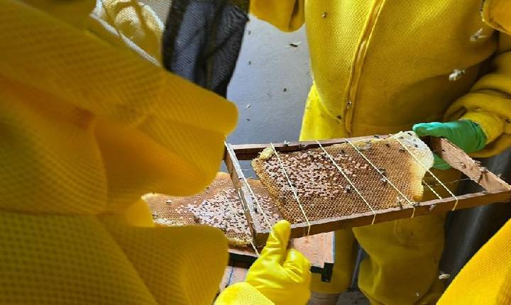 Rondônia -  Casa do Mel em Porto Velho vai fortalecer apicultura e agricultura familiar