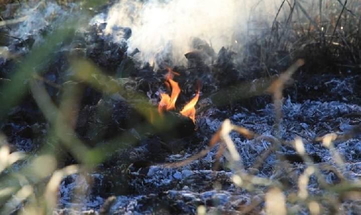 Rondônia -  Porto Velho intensifica ações contra às queimadas e se prepara para estiagem