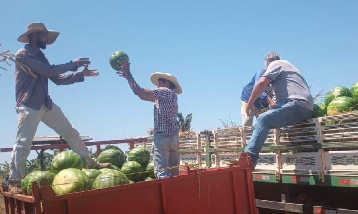 Rondônia -  Porto Velho lidera agronegócio de Rondônia e Agrotec 2026 promete destacar potencial do setor