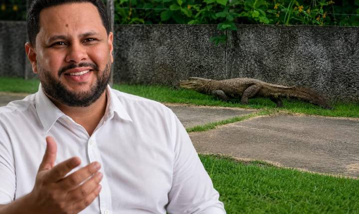 Samuel Costa: 'O jacaré não invadiu a cidade; foi a cidade que avançou sobre a natureza'