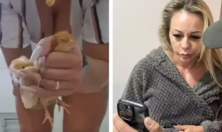 São Paulo - Norma prevê multa de R$ 50 mil em caso de mulher que matava animais