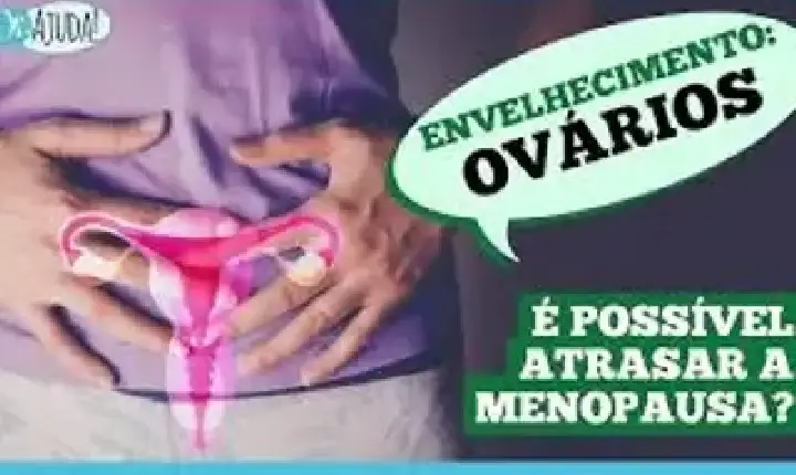 Saúde | Dr. Ajuda! - Dr. Ajuda: como os ovários envelhecem? Devo fazer reposição hormonal?