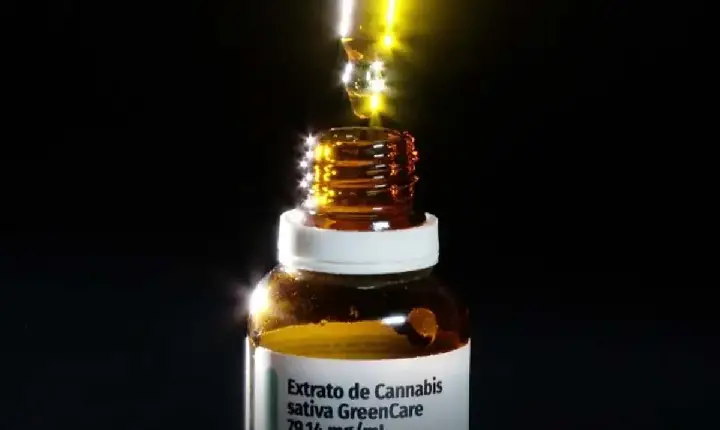 TRATAMENTO - Autorizações para importação de cannabis aumentam 29% em 2026