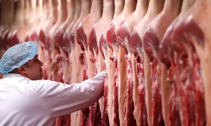 UE enviará ao Brasil lista com pedido de informações adicionais sobre carnes exportadas