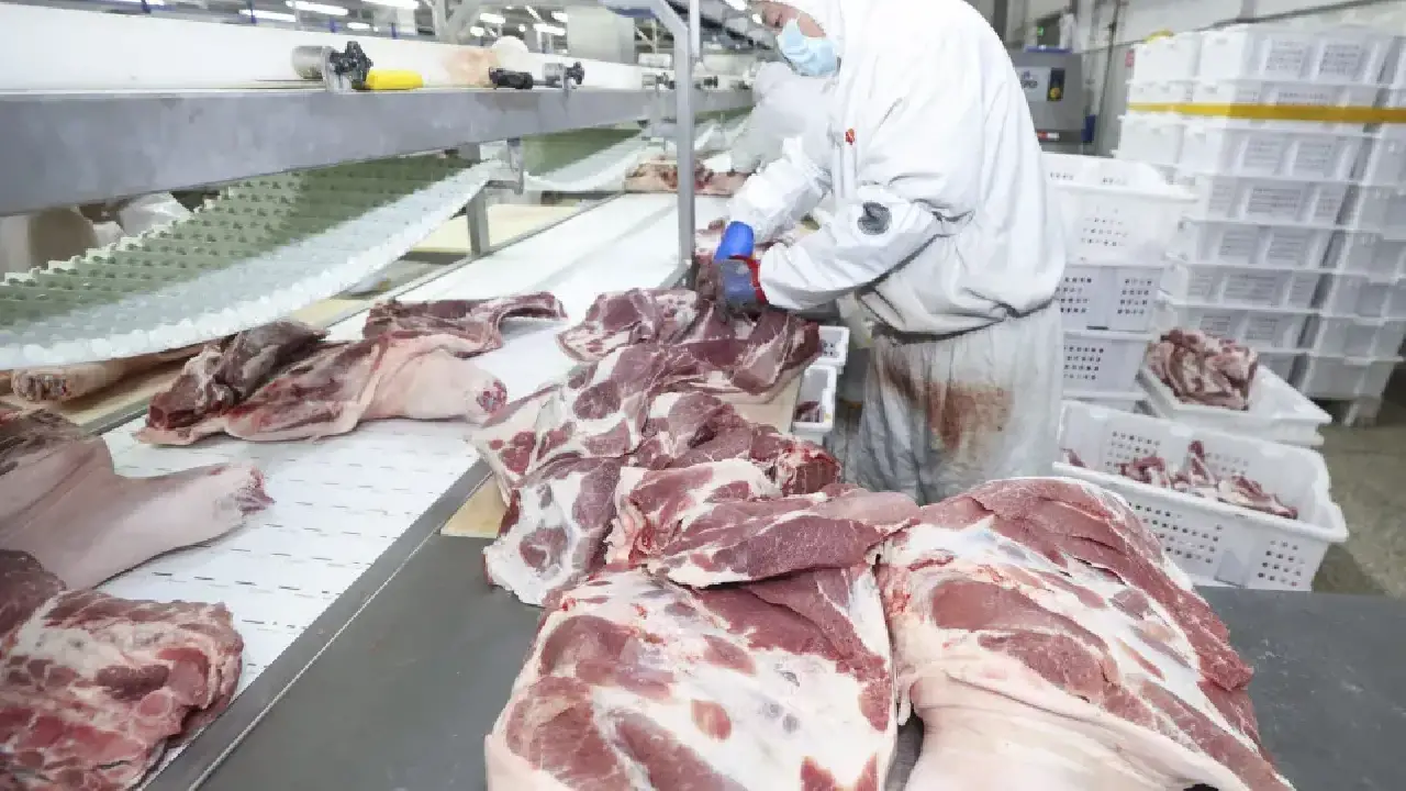 União Europeia confirma veto à carne brasileira e suspende importações a partir de setembro - Correio da Mata