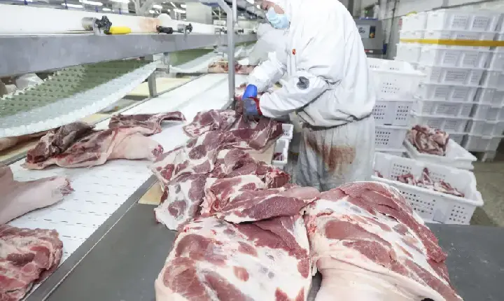 União Europeia confirma veto à carne brasileira e suspende importações a partir de setembro