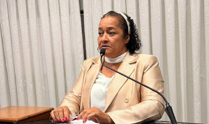 Vereadora Cida encaminhou ao Executivo solicitações para substituição da ponte na Avenida 7 de setembro e reforma das Unidades Básicas de Saúde