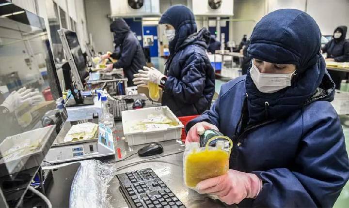 VÍDEO - Dia Mundial da Hemofilia reforça importância do diagnóstico