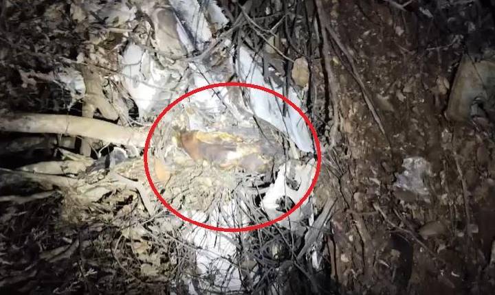 Vídeo mostra homem carbonizado após avião com carga de cocaína cair em MT; dois morreram