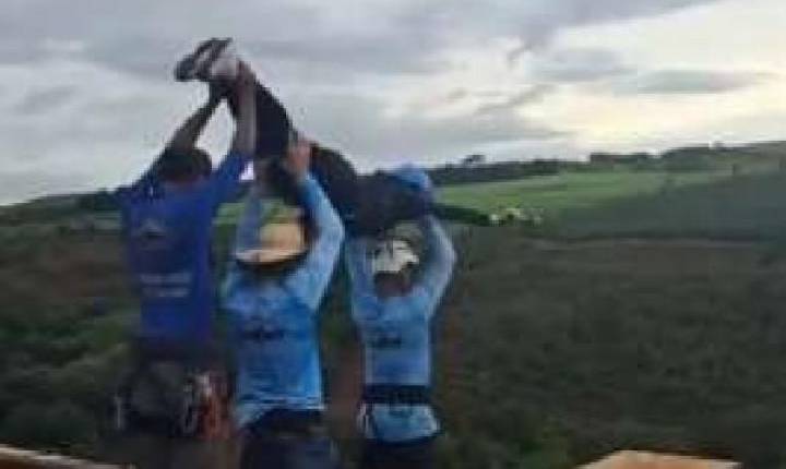 VÍDEO - Sociedade - Surge a última publicação de jovem que morreu arremessada em salto sem corda