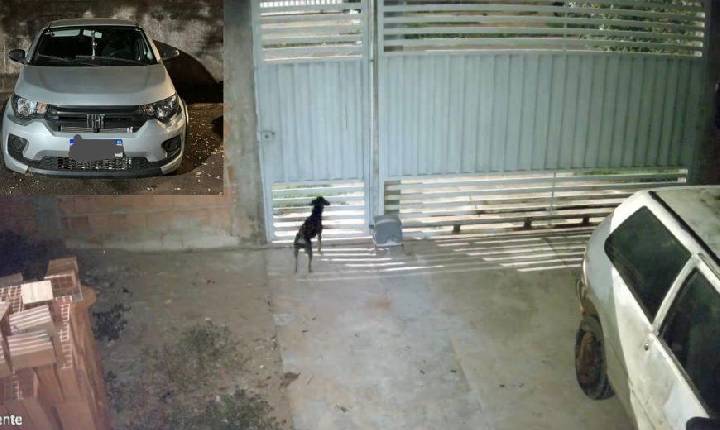 VÍDEO - SOCORRO, SOCORRO - Vídeo mostra motorista gritando durante roubo em que acabou enforcada com cinto em Rondonópolis