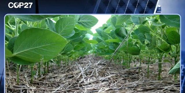COOPERATIVISMO & CLIMA -  Agro sustentável é tema de painel da OCB na COP27