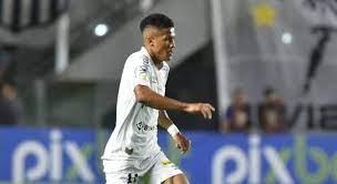 Ângelo pede desculpas após discussão com torcida do Santos