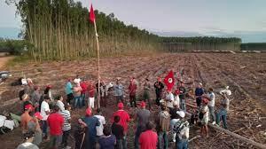 CNA aciona STF contra invasões de terras do MST