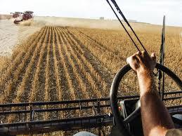 AGRONEGÓCIO Agropecuária faz o PIB do Brasil crescer