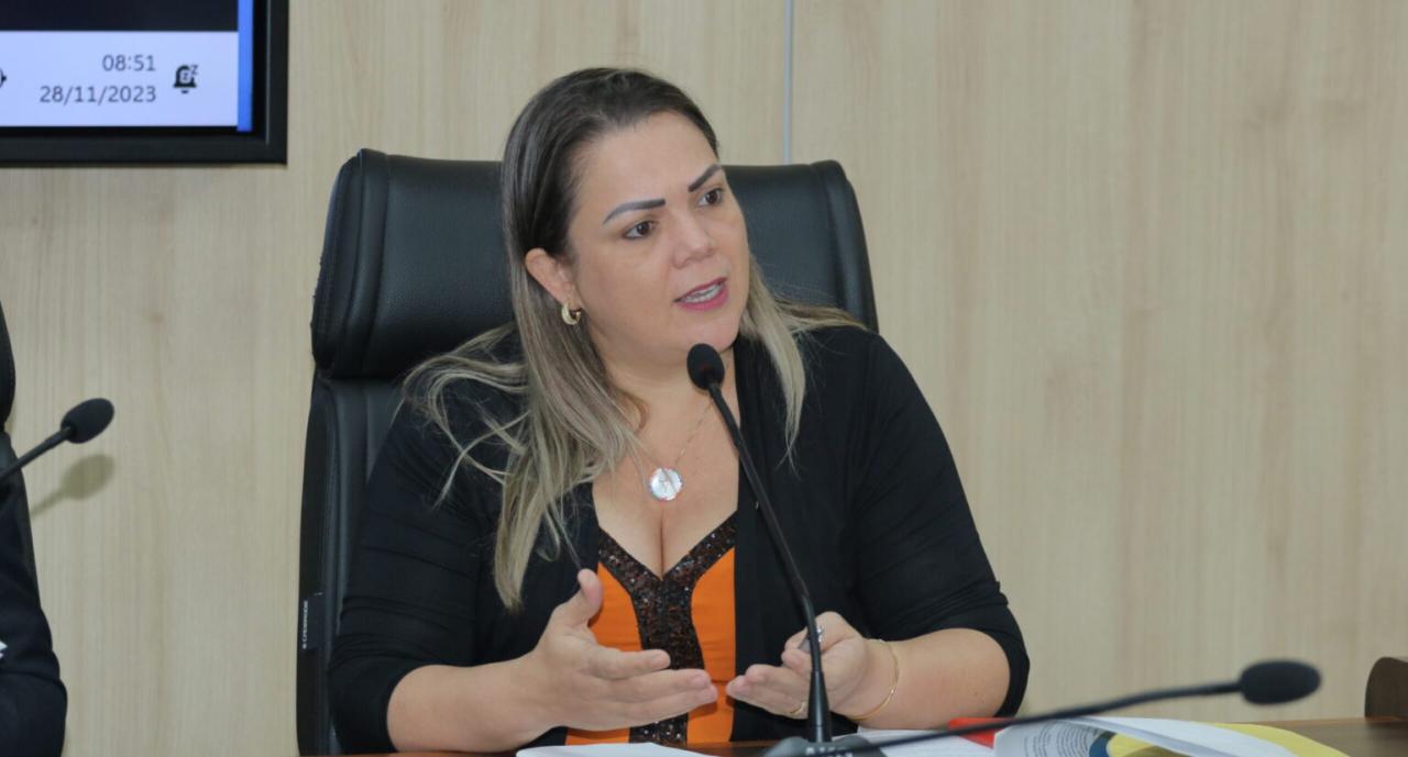 Política - Cláudia de Jesus solicita recursos para proteção das mulheres durante reunião da Comissão de Defesa dos Direitos da Mulher