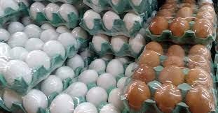 PROTEÍNA -  Ovos: preços atingem menores patamares desde janeiro de 2022