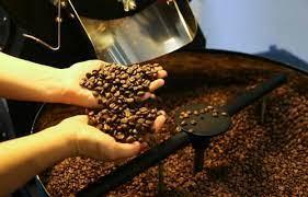 AGRONEGÓCIOS | CAFÉ - Preço do café arábica registra forte baixa nesta quinta-feira (15)