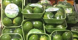 ATENÇÃO Sabe identificar se um produto é orgânico? Veja dicas
