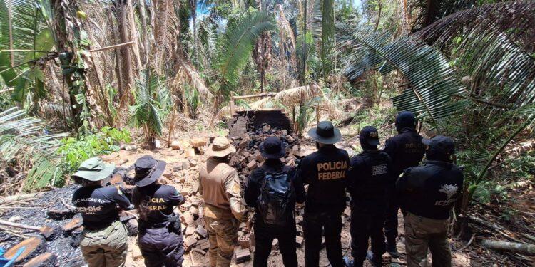 PF deflagra operação em combate a crimes ambientais em Rondônia