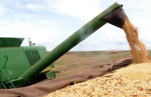 AGRONEGÓCIOS | SOJA - Preço da soja tem baixa no Paraná