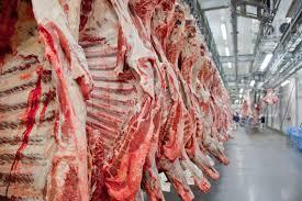 CENÁRIO -  Mercado boi: preços da carne voltam a cair no atacado