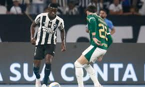 Esportes - Botafogo recebe Palmeiras no primeiro jogo das oitavas da Libertadores