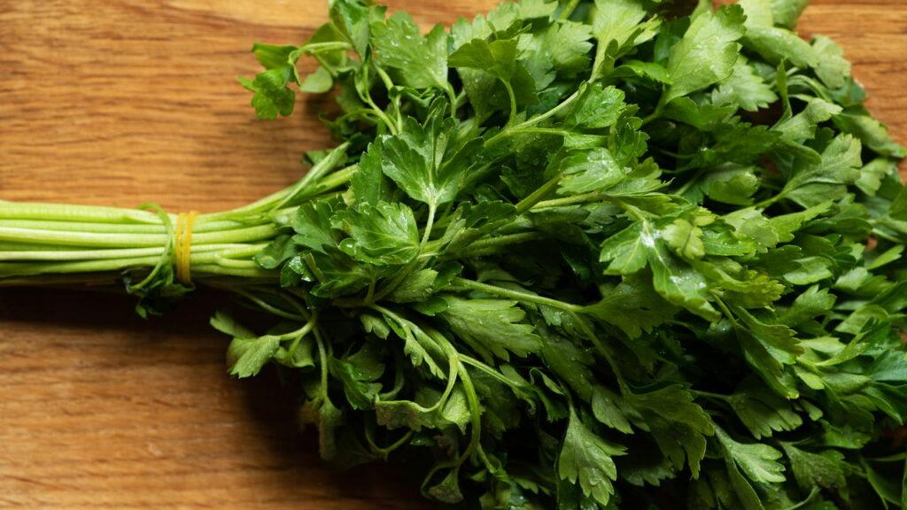 Entretenimento - Salsa é uma aliada natural no combate a infecções e fortalecimento do organismo