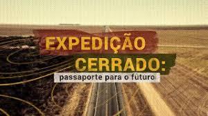 NOTÍCIAS - Cerrado perdeu uma Paraíba em vegetação natural em apenas um ano