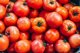 Dinheiro e Negócios - O que explica a disparada do preço do tomate?