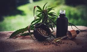 São Paulo veta PL sobre medicamentos à base de cannabis medicinal