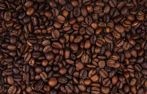Agronegócios | Café - Café  arábica recua 0,11% e saca custa R$ 2.766,37