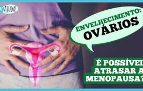 Saúde | Dr. Ajuda! - Dr. Ajuda: como os ovários envelhecem? Devo fazer reposição hormonal?