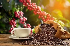 https://brasil61.com/n/cafe-em-mais-uma-alta-chega-a-r-2-520-22-pagr255406#:~:text=Foto%3A%20Freepik-,AGRONEG%C3%93CIOS,Caf%C3%A9%2C%20em%20mais%20uma%20alta%2C%20chega%20a%20R%24%