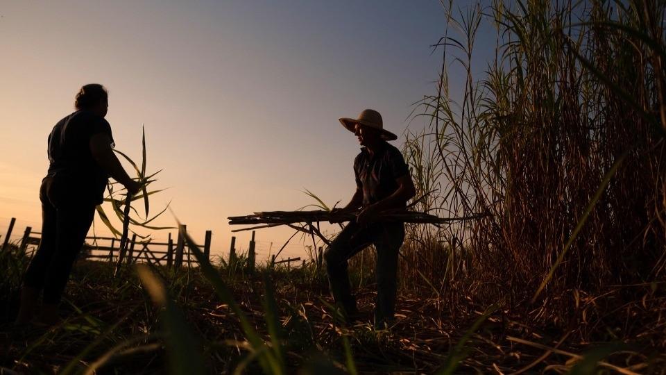 RONDÔNIA - Violência agrária: a guerra não declarada que envergonha o Brasil