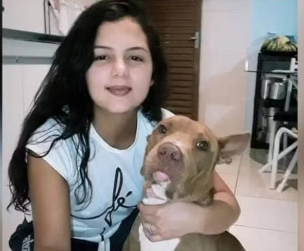 Ele mordeu na jugular”: dona de pitbull morre ao ser atacada pelo próprio cachorro