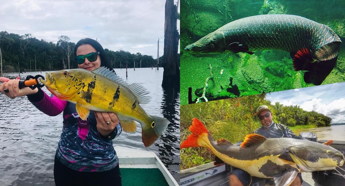 Esportes - Pesca Esportiva e Sustentabilidade em debate durante o 2º Festival de Peixes da Amazônia