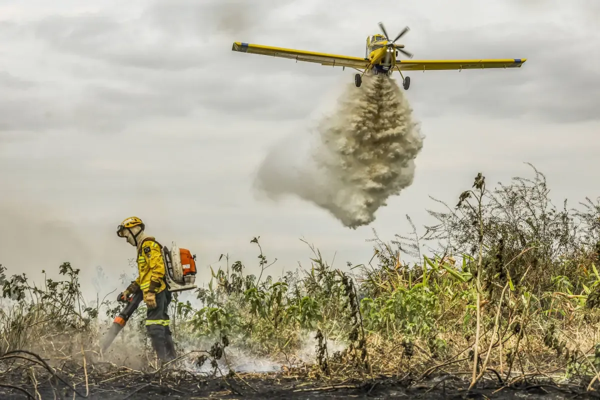 Salada Verde - Terras alvo de desmates e incêndios criminosos podem ser expropriadas