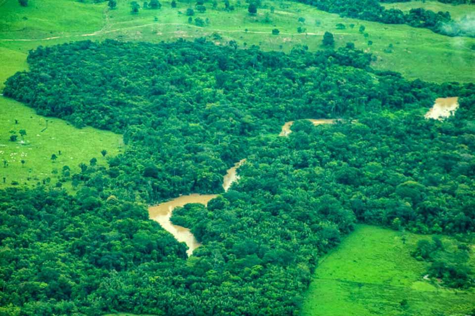 REDUÇÃO - Rondônia reduz desmatamento em mais de 40% entre 2024 e 2025, aponta plataforma nacional de alerta