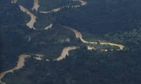 Amazônia: Desmatamento em maio de 2025 tem alta de 92%