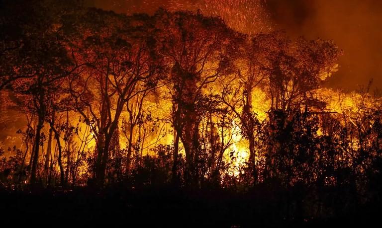Nacional  - PF inicia operação de enfrentamento aos incêndios florestais na Amazônia e Pantanal