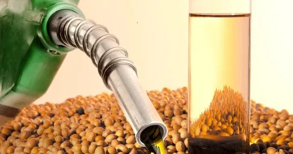 REDUÇÃO DE GASES  Governo amplia mistura de biodiesel e prevê mais demanda por óleo de soja