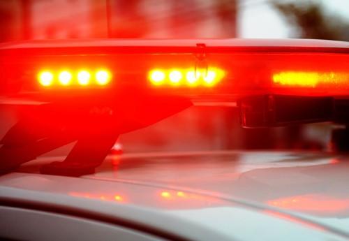 Polícia - Criança de 4 anos morre após ser atingida por bezerro em distrito de Porto Velho